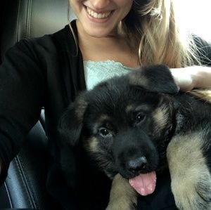 Meet your Posher, B.